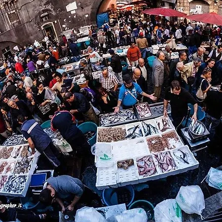 Corte Siciliana Nyaraló